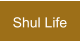 Shul Life